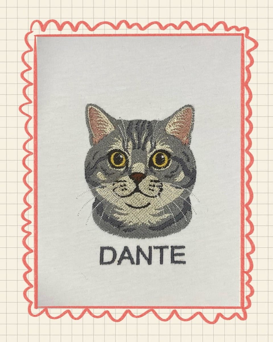 Dante adlı british shorthair kedinin nakış portresi