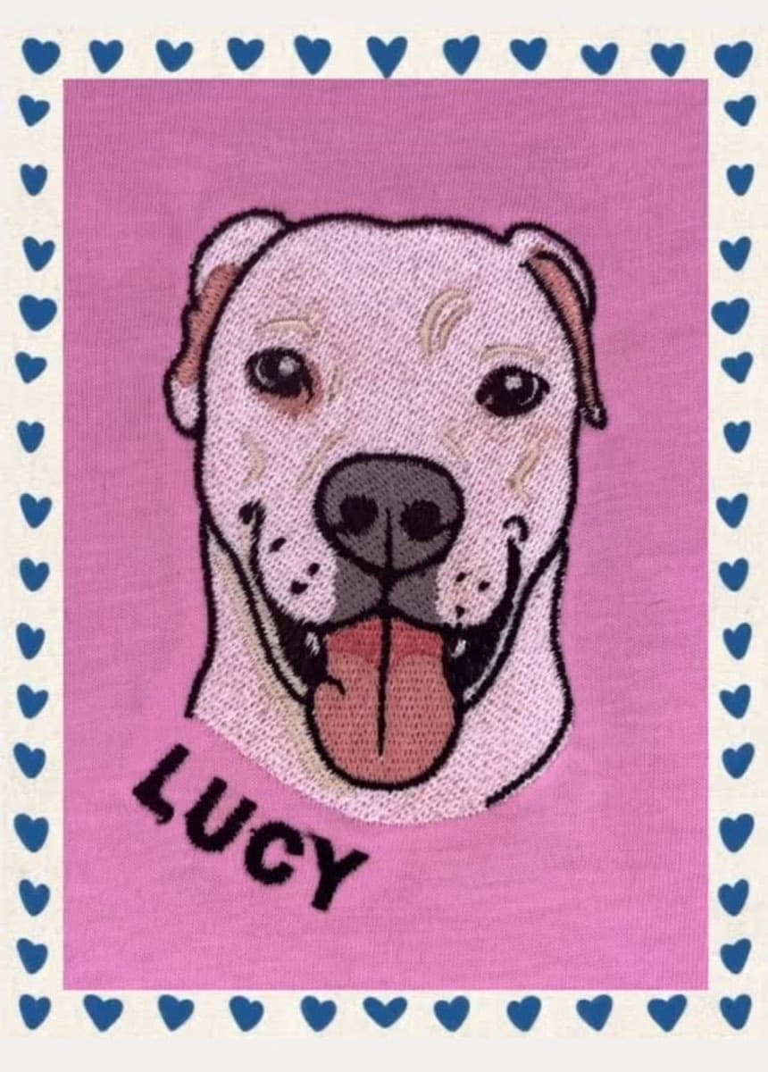 Lucy adlı pitbull köpeğin pembe kumaş üzerine işlenmiş nakış portresi
