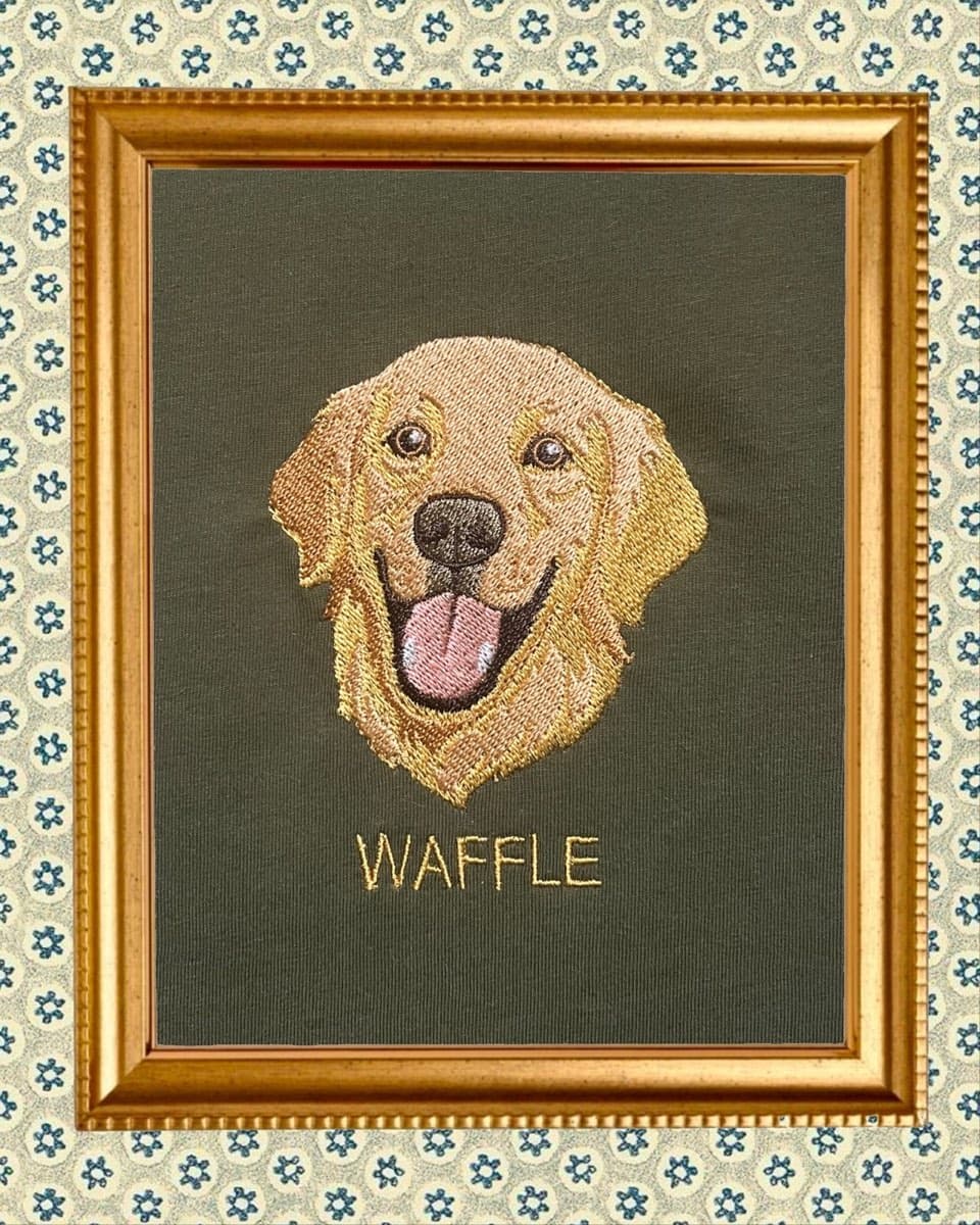 Waffle adlı golden retriever köpeğin çerçeveli nakış portresi